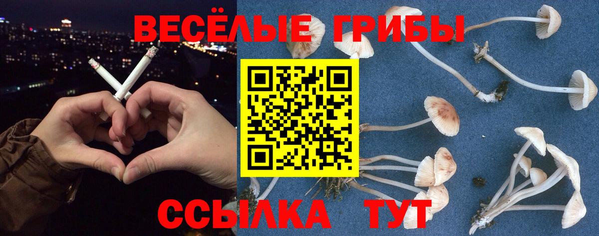 Кунгур  Галлюциногенные грибы Magic Shrooms  Вход с VPN  Псилоцибиновые грибы Psilocybe 